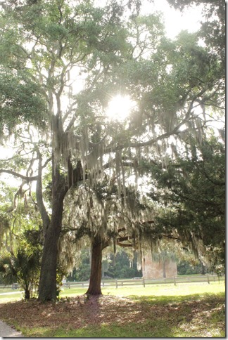 Jekyll Island Georgia (309)