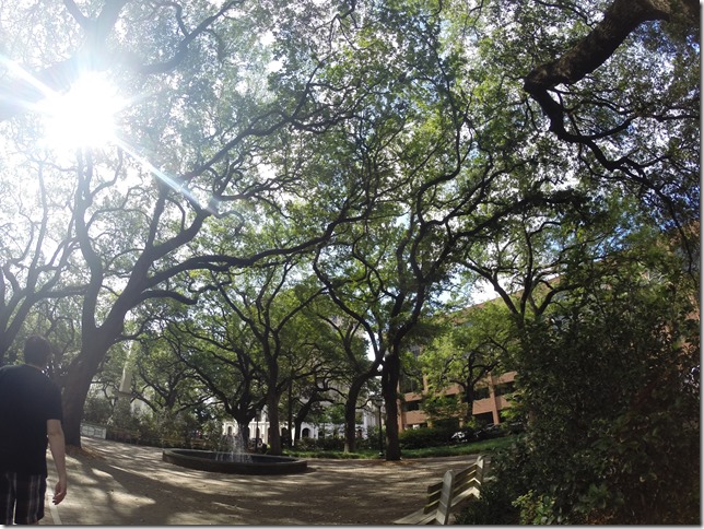 Historic District Savannah GA 2014 (3)