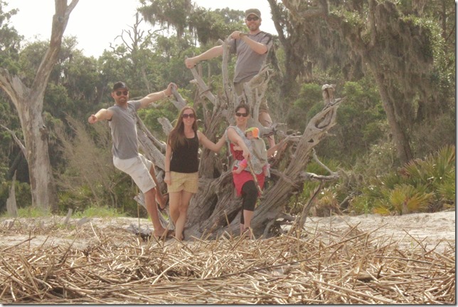 Jekyll Island GA Driftwood Beach (65)