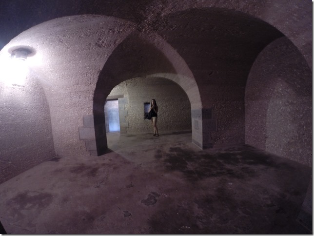 Fort Pulaski Savannah (19)