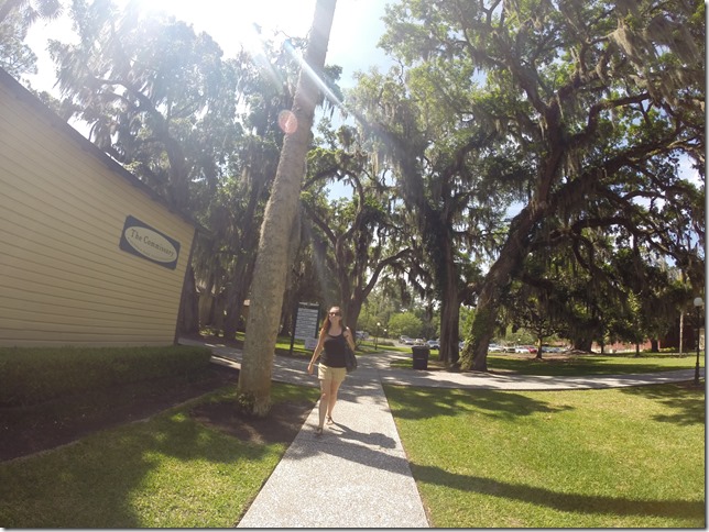 Jekyll Island Georgia Historic District  (22)