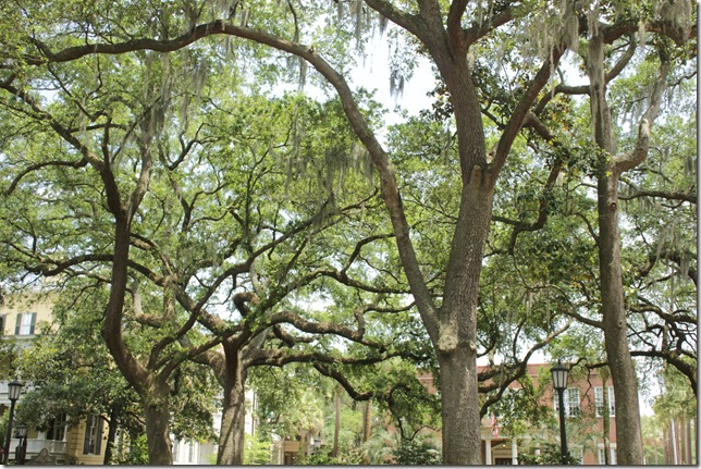 Historic District Savannah GA 2014 (39)