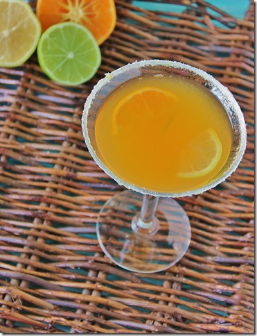 Beer Martini Florida Cracker  (4)