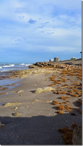 Blowing Rock Jupiter (1)