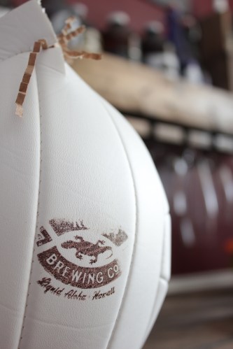 Kona Brewing Company Castaway IPA- Life Food and Beer