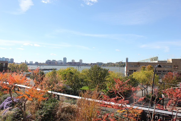 High Line-Life Food and Beer