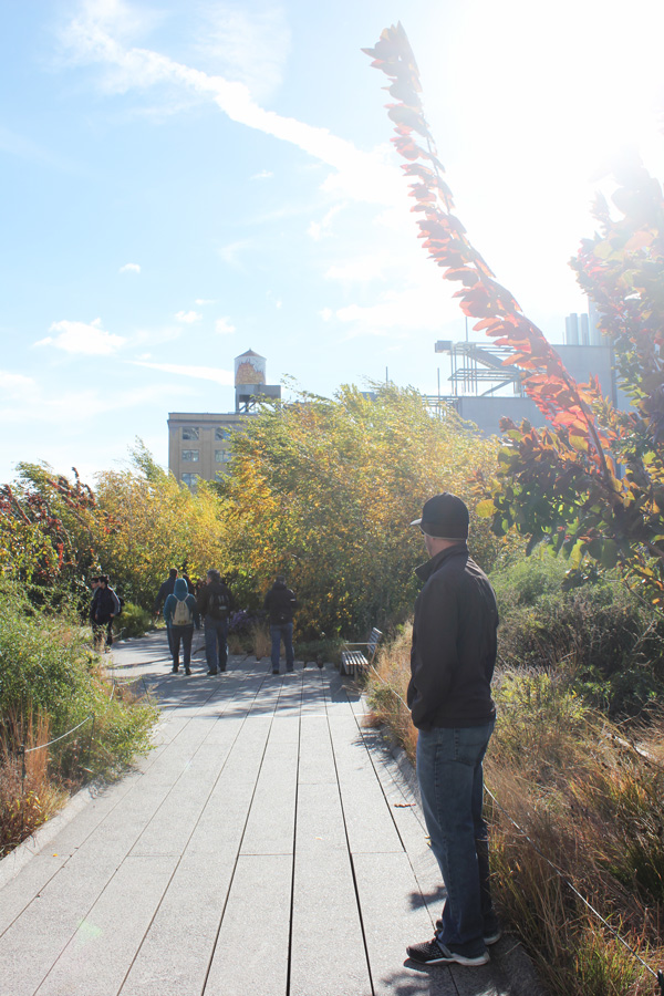 High Line-Life Food and Beer