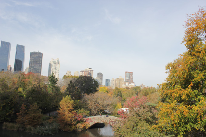 Central Park- Life Food and Beer