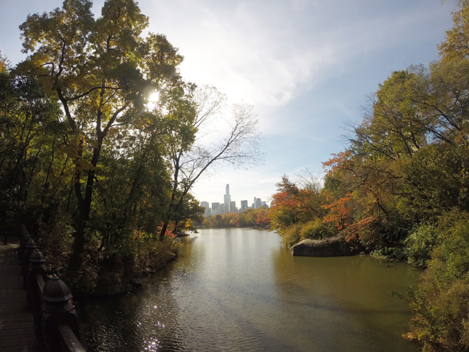 Central Park- Life Food and Beer
