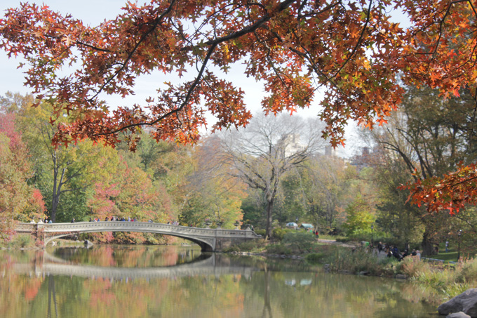 Central Park- Life Food and Beer