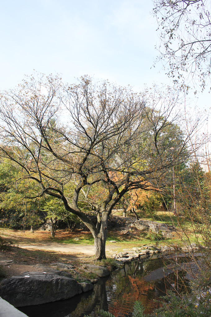 Central Park- Life Food and Beer