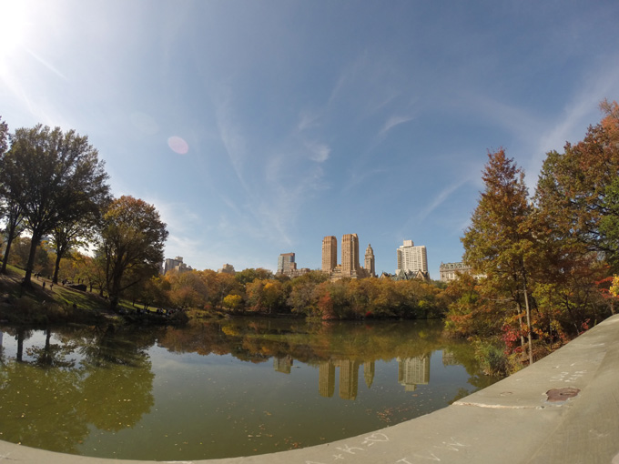 Central Park- Life Food and Beer