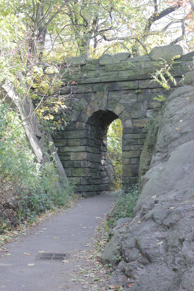 Central Park- Life Food and Beer