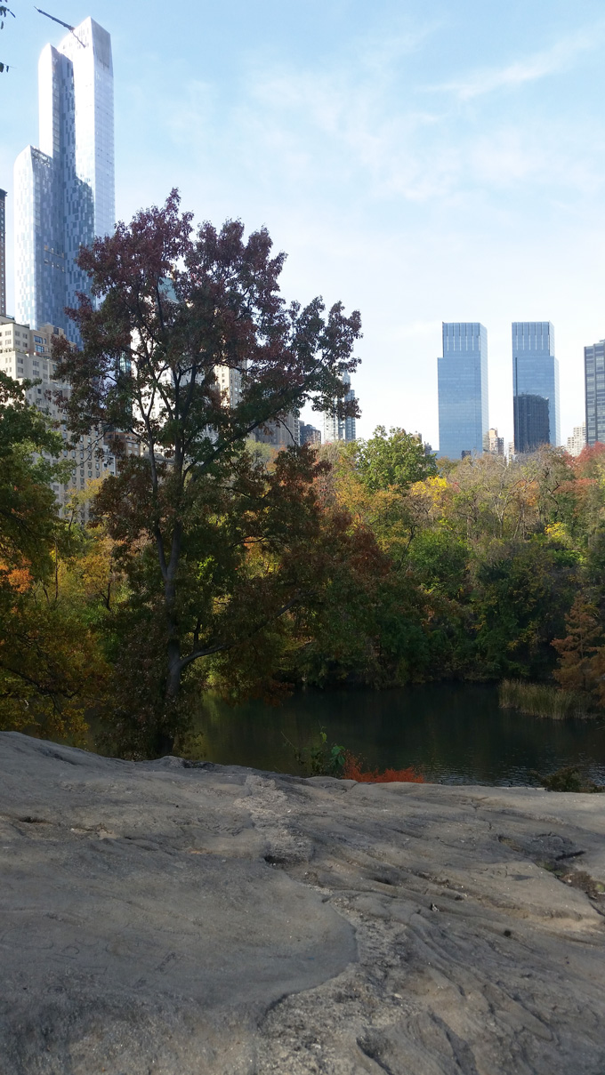 Central Park- Life Food and Beer