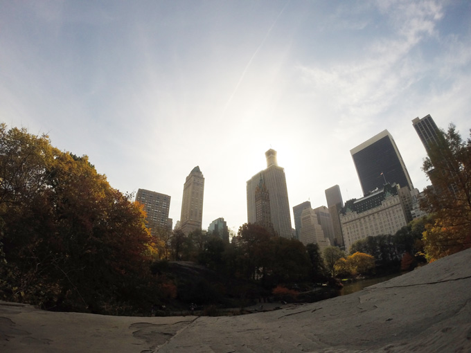 Central Park- Life Food and Beer