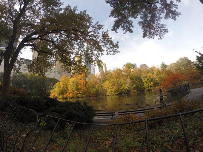 Central Park- Life Food and Beer