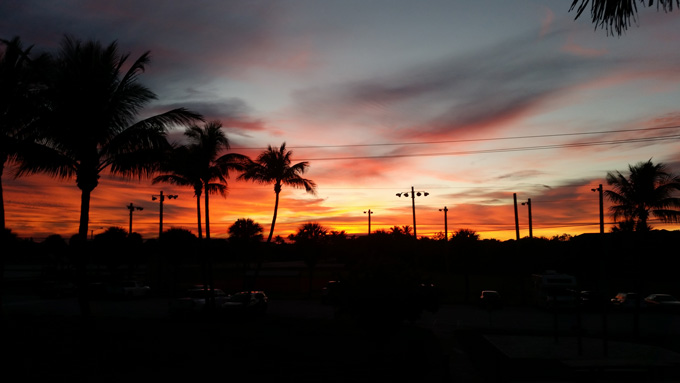 Photo A Day- Life Food and Beer