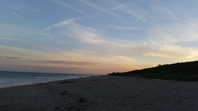 Photo A Day- Life Food and Beer