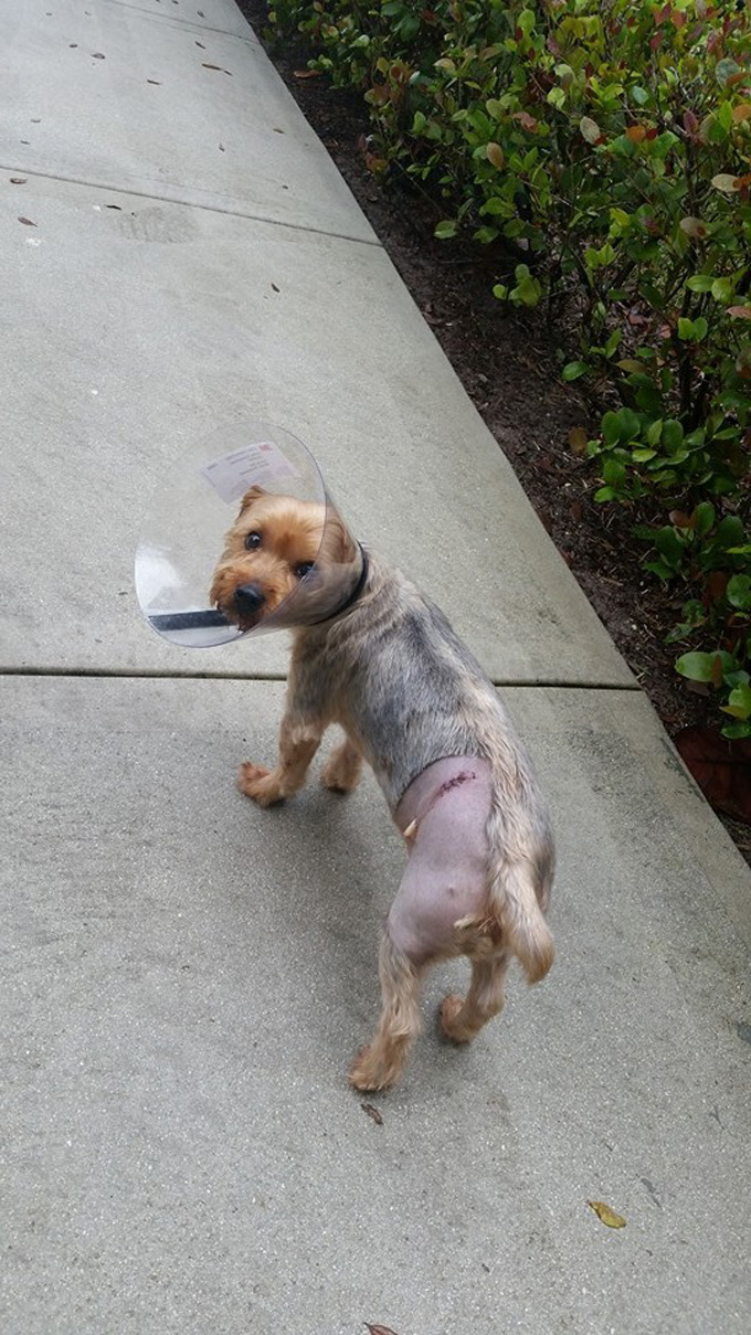 Photo a day- Life Food and Beer