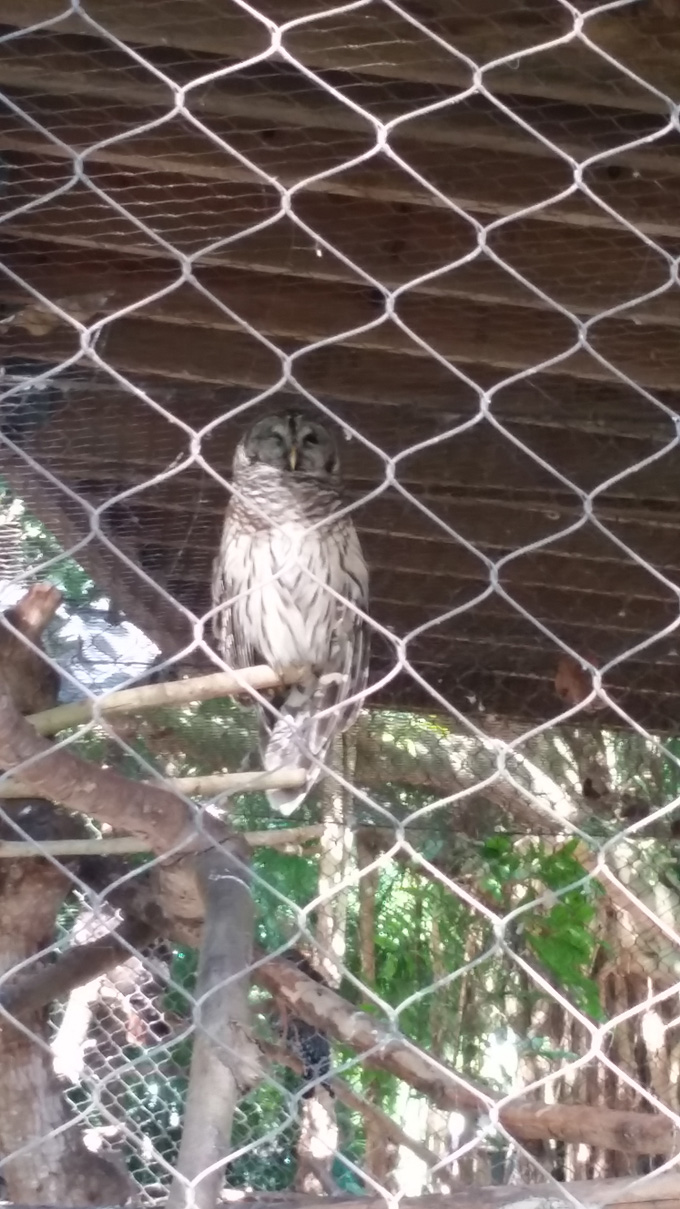Palm Beach Zoo Life Food and Beer