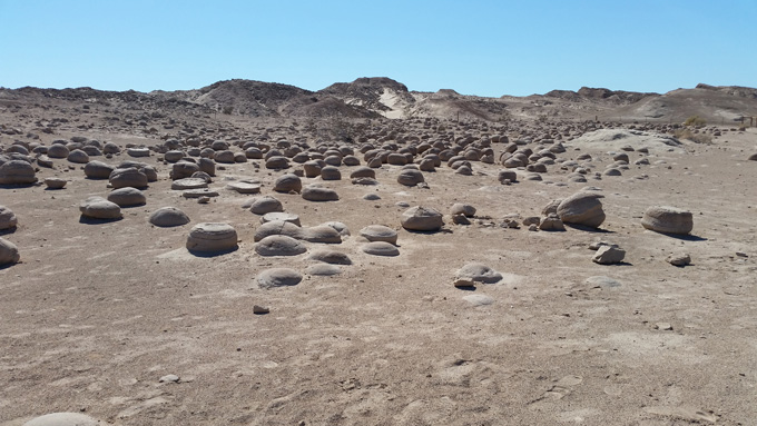 San Diego- Life Food and Beer