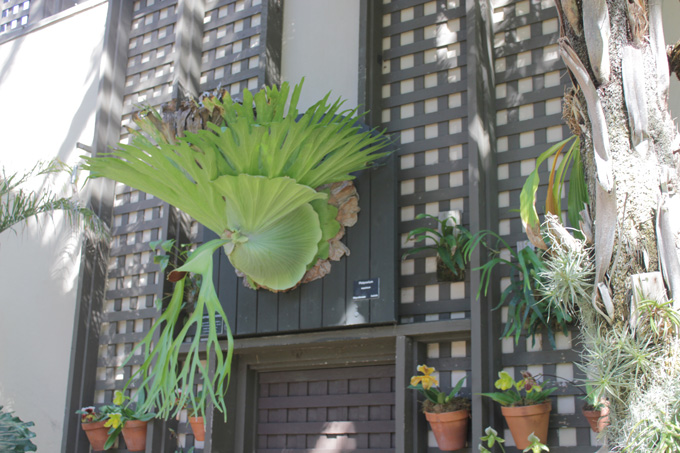 Balboa Park- Life Food and Beer