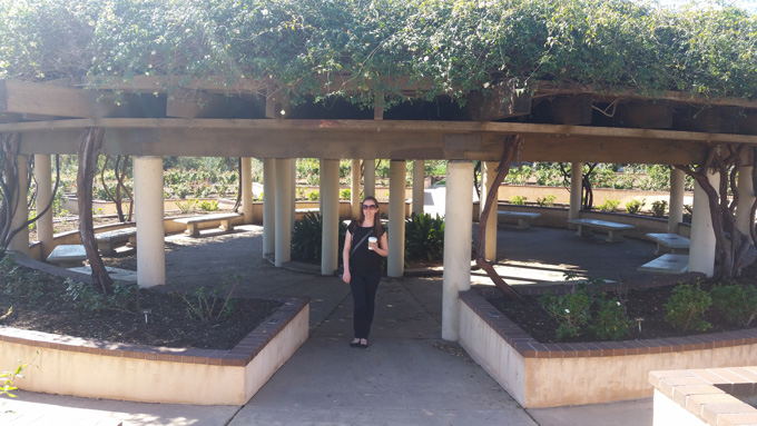 Balboa Park- Life Food and Beer