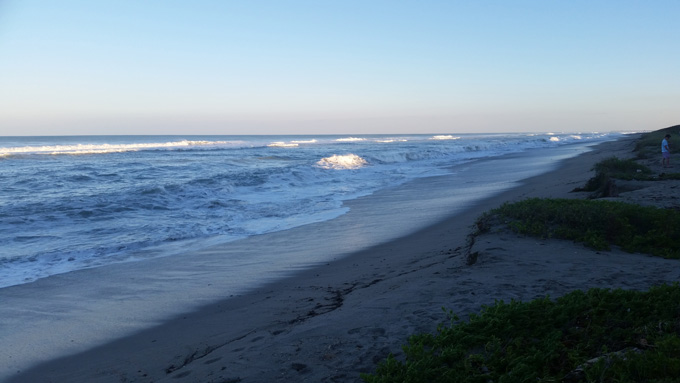 Photo A Day Life Food and Beer