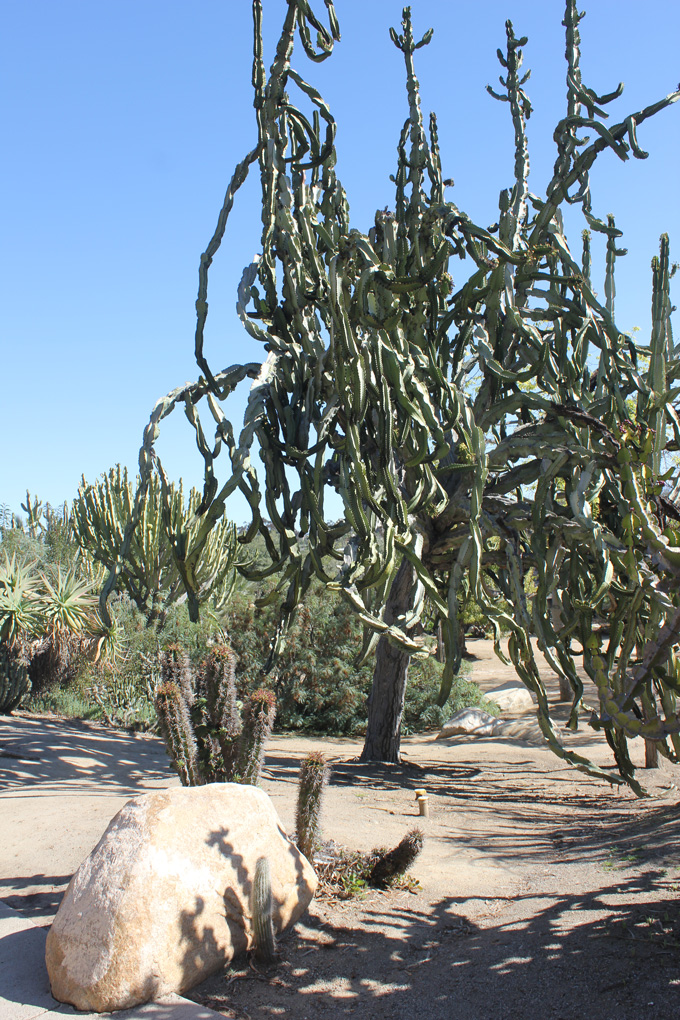 Balboa Park- Life Food and Beer
