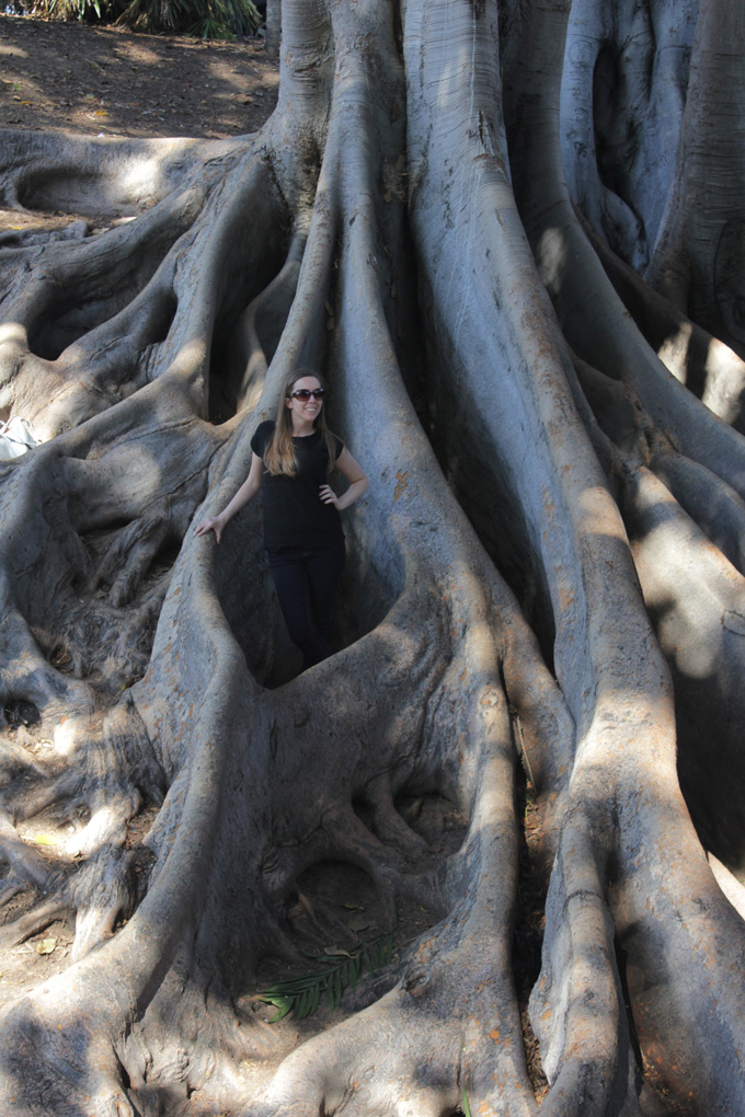 Balboa Park- Life Food and Beer