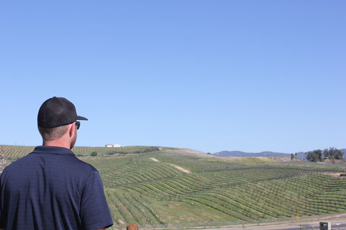 Lumiere Winery- Life Food and Beer