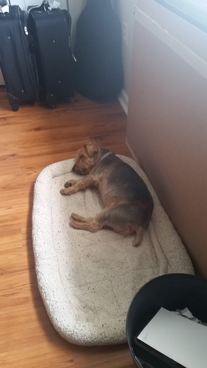 Photo A Day- Life Food and Beer