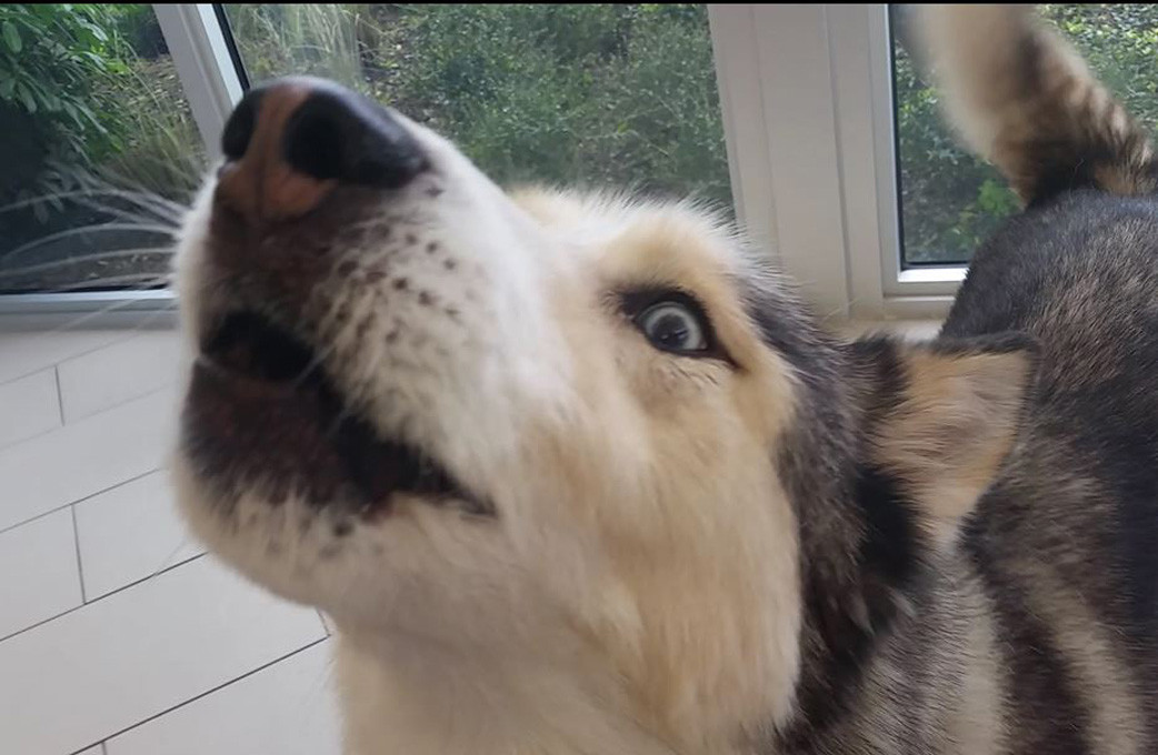 Photo A Day- Life Food and Beer