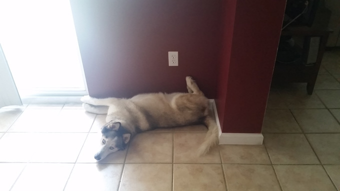 Photo A Day- Life Food and Beer