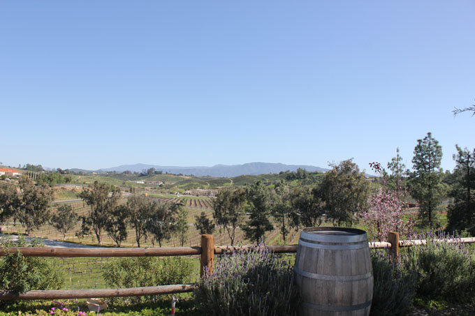 Lumiere Winery- Life Food and Beer