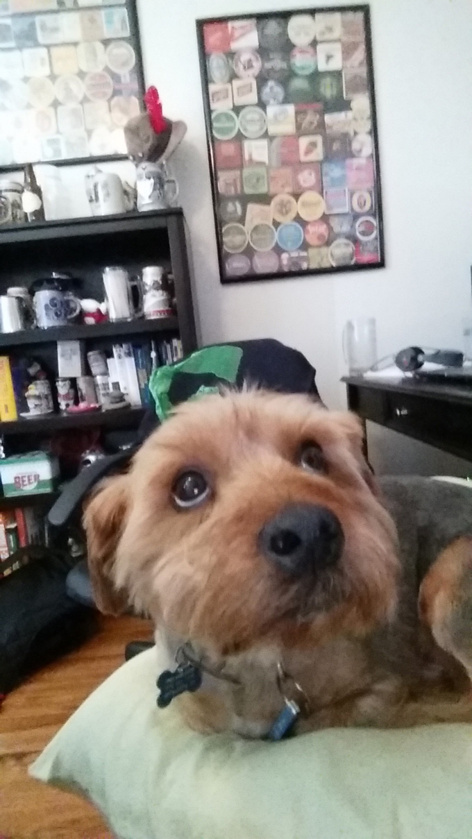 Photo A Day- Life Food and Beer