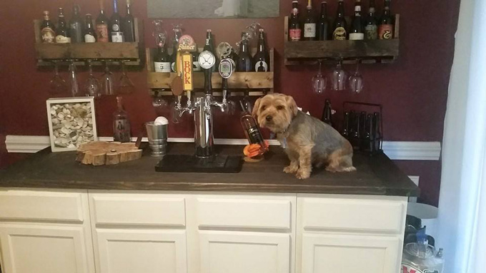 Photo A Day- Life Food and Beer