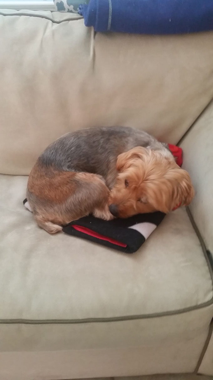 Photo A Day- Life Food and Beer