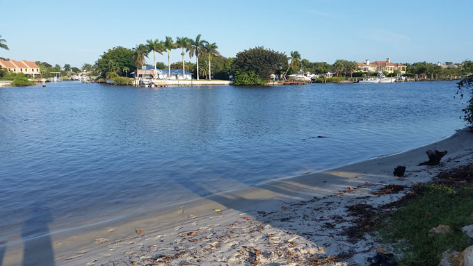 Photo A Day- Life Food and Beer