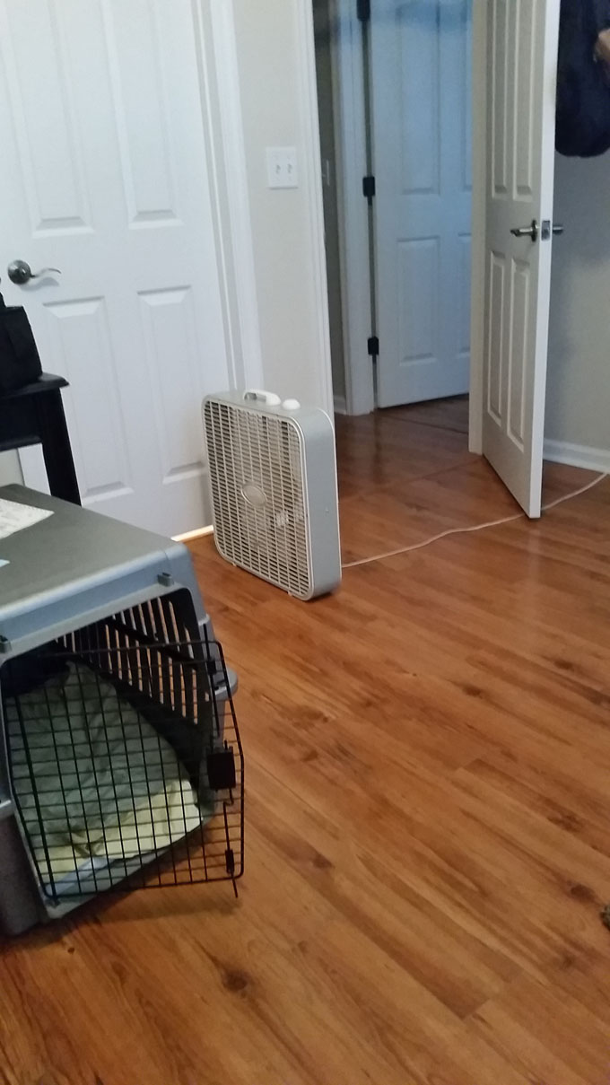 Photo A Day- Life Food and Beer