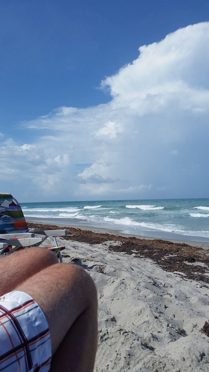 Life Food and Beer- Photo A Day