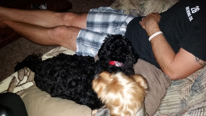 Life Food and Beer- Photo A Day