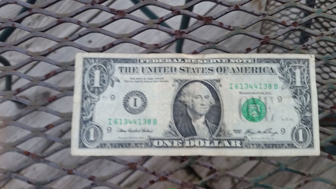 Life Food and Beer- Photo A Day