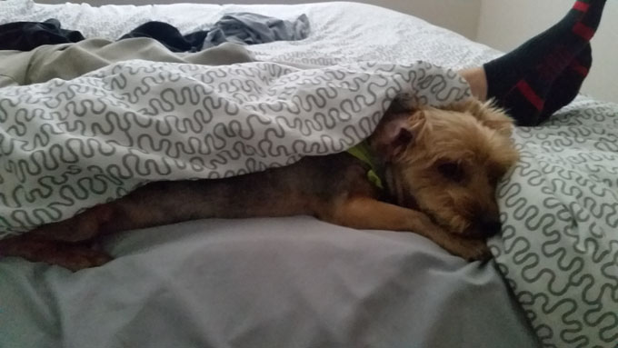 Life Food and Beer- Photo A Day