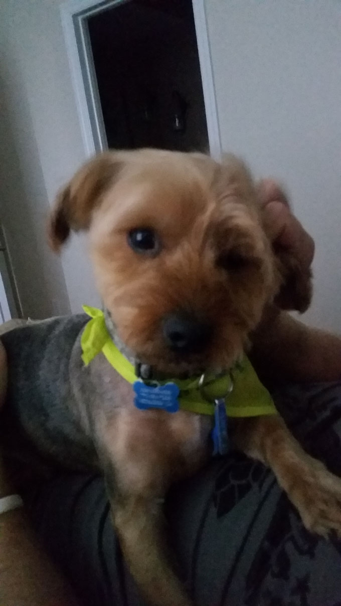 Life Food and Beer- Photo A Day