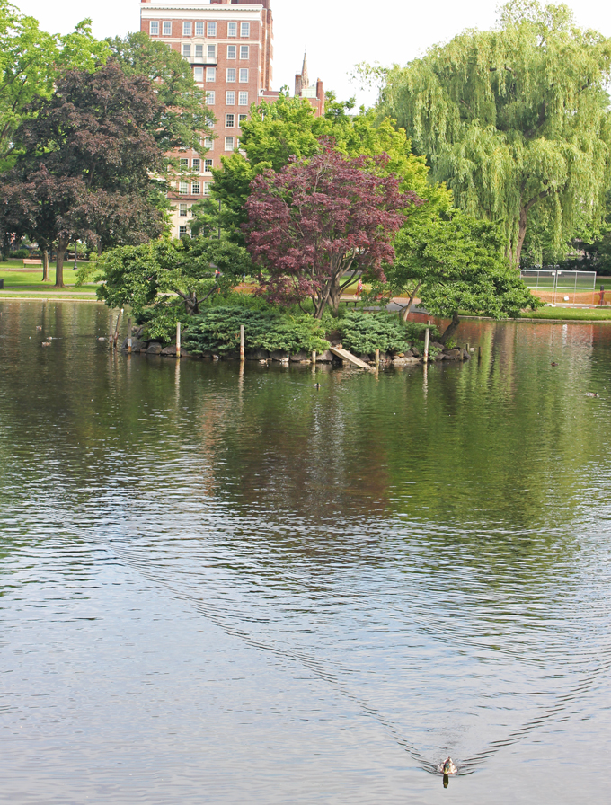 Exploring Boston- Life Food and Beer