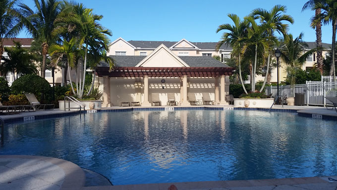 Photo A Day- Life Food and Beer