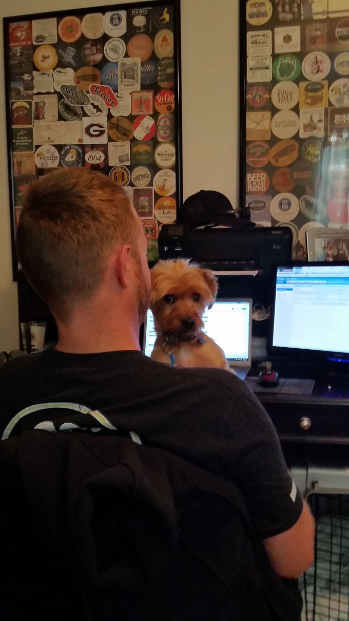 Photo A Day- Life Food and Beer