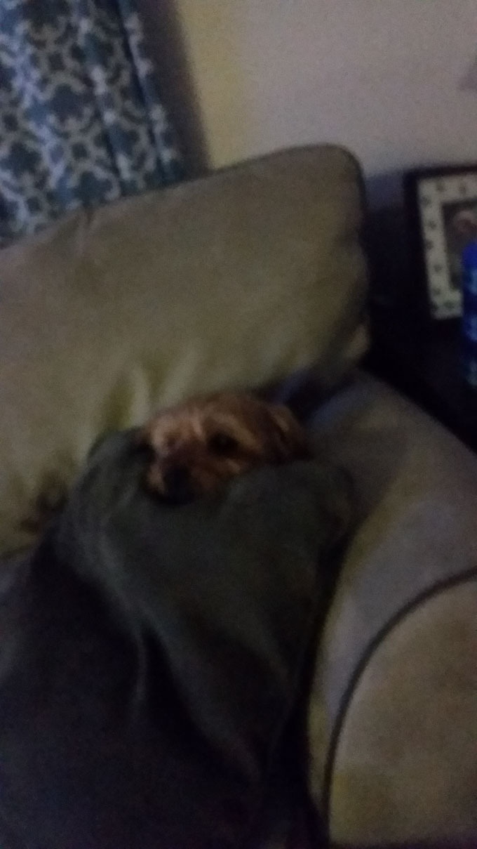 Photo A Day- Life Food and Beer