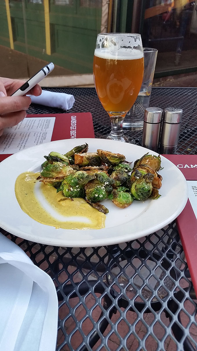 Cambridge Brewing Co- Life Food and Beer 